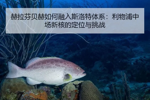 he-la-fen-bei-he-ru-he-rong-ru-si-luo-te-ti-xi-li-wu-pu-zhong-chang-xin-he-de-ding-wei-yu-tiao-zhan-3-431.jpg
